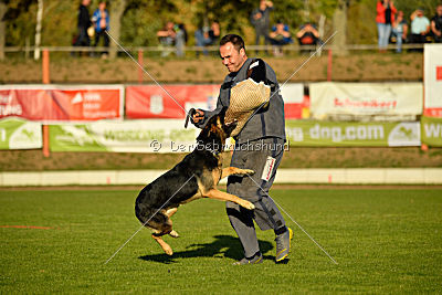 Molly vom Kretzschauer Land