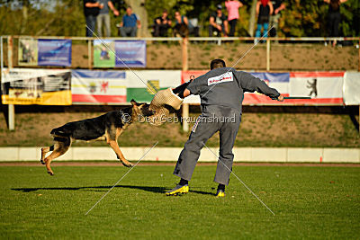 Molly vom Kretzschauer Land