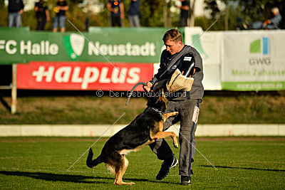 Molly vom Kretzschauer Land