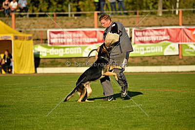 Molly vom Kretzschauer Land