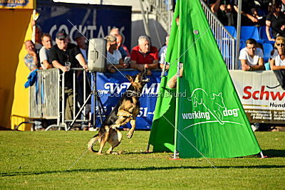 Molly vom Kretzschauer Land