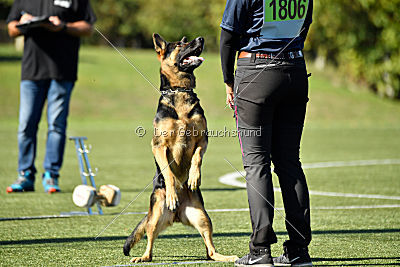 Molly vom Kretzschauer Land