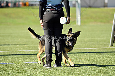 Molly vom Kretzschauer Land