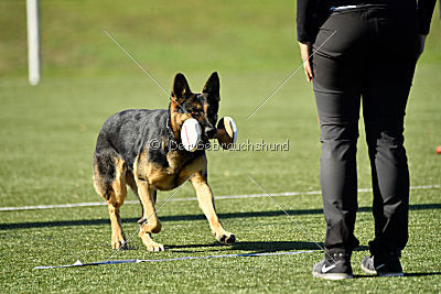 Molly vom Kretzschauer Land
