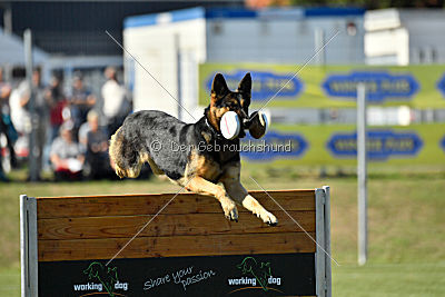 Molly vom Kretzschauer Land