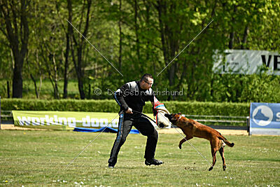 MonAmie Phoebe von den brennenden Herzen