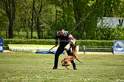 MonAmie Phoebe von den brennenden Herzen