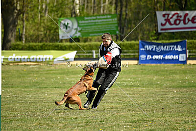 MonAmie Phoebe von den brennenden Herzen