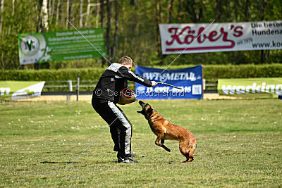 MonAmie Phoebe von den brennenden Herzen