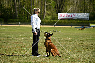 MonAmie Phoebe von den brennenden Herzen