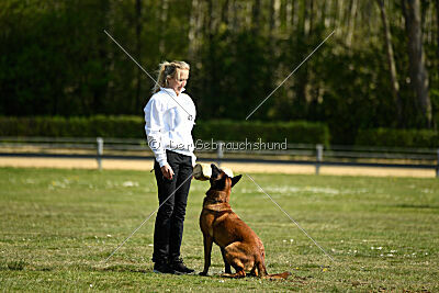 MonAmie Phoebe von den brennenden Herzen