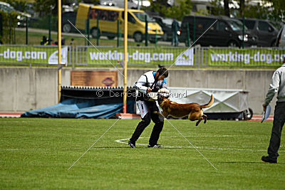 Monty Extra Temperament