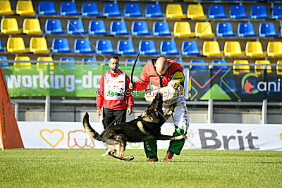 Moorschloss Farell-Wieratal