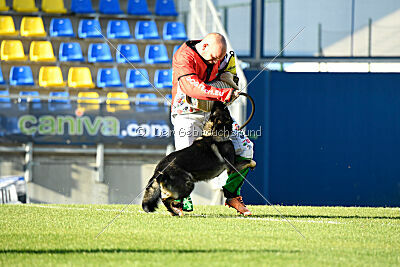 Moorschloss Farell-Wieratal