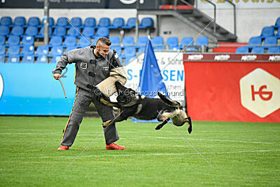 Moorschloss Farell-Wieratal