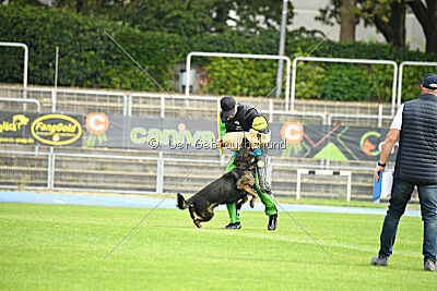 Morris vom Wolfsweiher