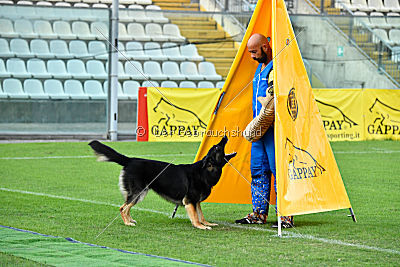 Mrha van Crijnderthof