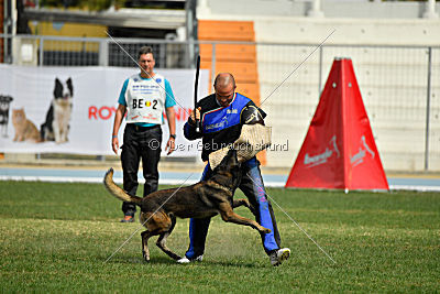 Musca van de Duvetorre