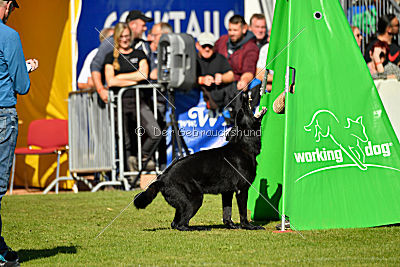 My Lo von der Planwarte