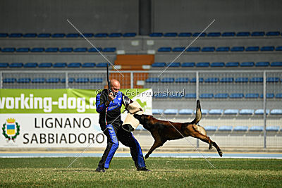 My's Lya Elliot av Eske