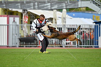 My's Lya Elvis av Eske