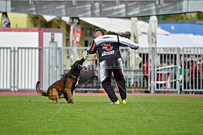 My's Lya Elvis av Eske