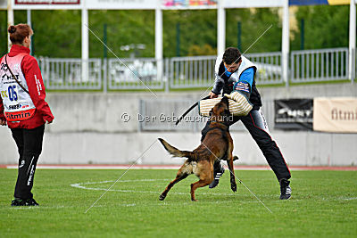 My's Lya Elvis av Eske