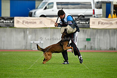 My's Lya Elvis av Eske