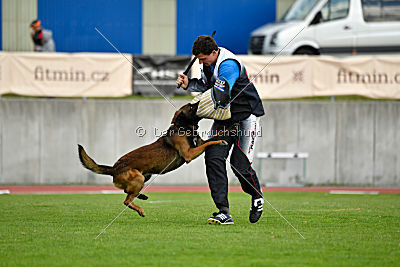 My's Lya Elvis av Eske