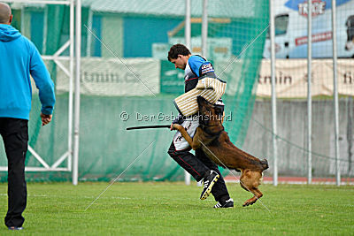 My's Lya Elvis av Eske