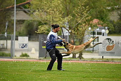 Mythos des Soldats de Krist Ale