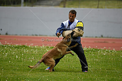 Mythos des Soldats de Krist Ale