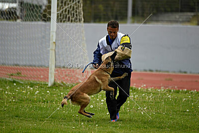 Mythos des Soldats de Krist Ale