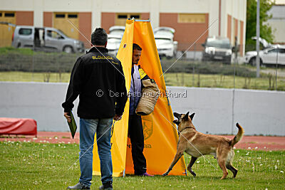 Mythos des Soldats de Krist Ale