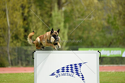 Mythos des Soldats de Krist Ale