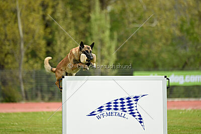 Mythos des Soldats de Krist Ale