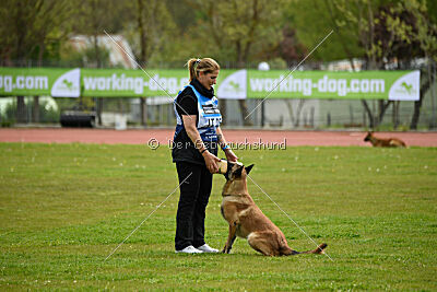 Mythos des Soldats de Krist Ale