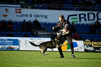 N-Greg von Berg Israel