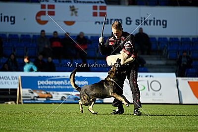 N-Greg von Berg Israel