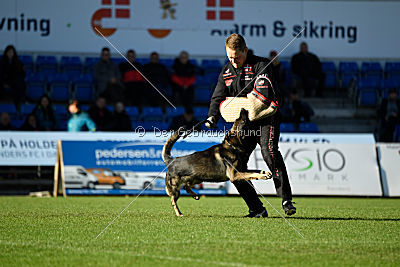 N-Greg von Berg Israel