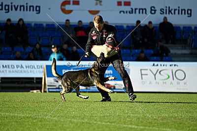 N-Greg von Berg Israel