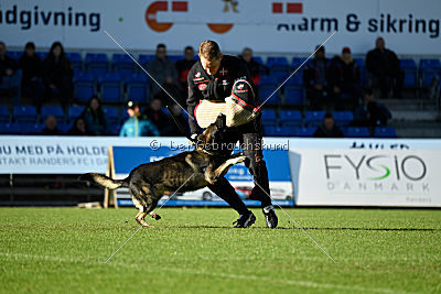 N-Greg von Berg Israel