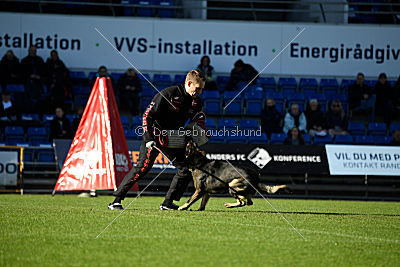 N-Greg von Berg Israel