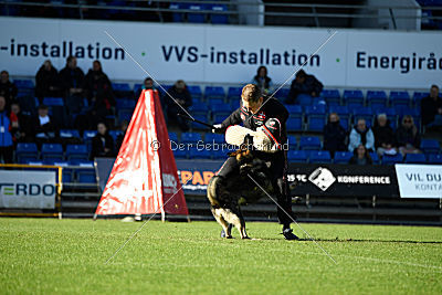 N-Greg von Berg Israel