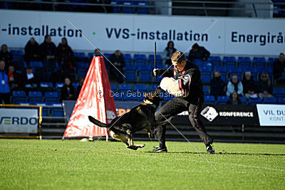 N-Greg von Berg Israel