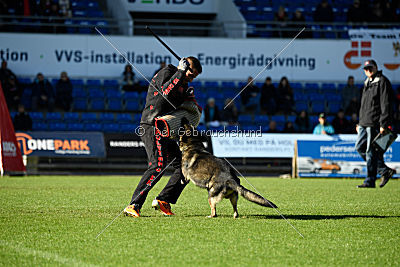 N-Greg von Berg Israel