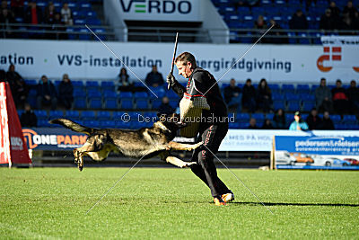 N-Greg von Berg Israel