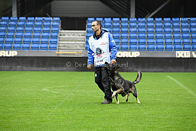 N-Greg von Berg Israel