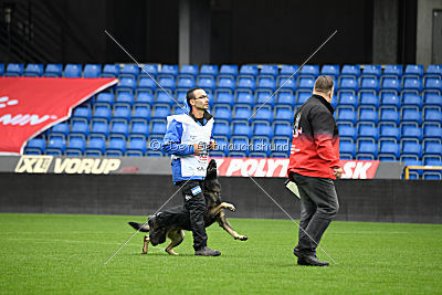 N-Greg von Berg Israel