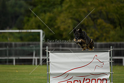 Naida vom Waisagrund